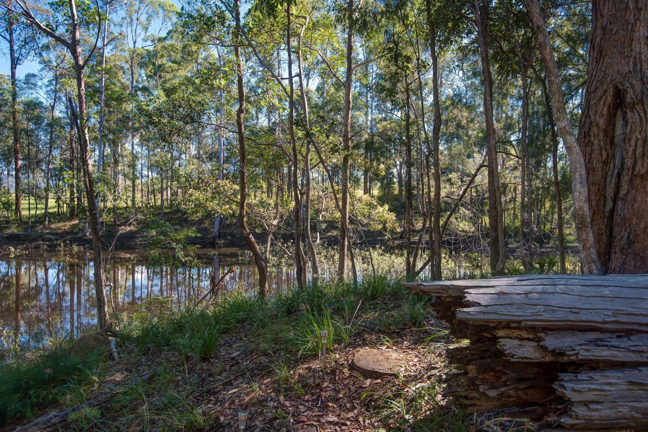 Hostal Oakey Creek Country Retreat Kenilworth Gheerulla Exterior foto